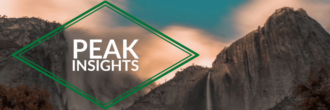 Peak Insights Large logo Fall 2